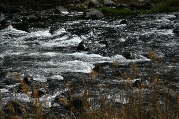 Scene of flowing water in a spring stream in Japan. Natural background material.
