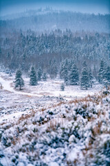 Snowy mountains landscape in Colorado Rocky Mountains near Grand Lake winter sunset