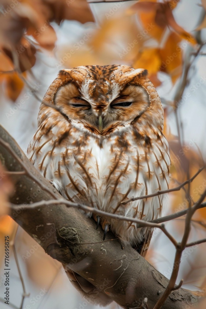 Poster a small owl sitting on a branch with leaves around it. generative ai.
