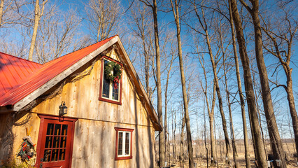 Sugar shack in a Quebec maple grove on a beautiful spring day - 776702207
