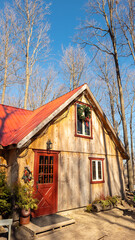 Sugar shack in a Quebec maple grove on a beautiful spring day - 776702216