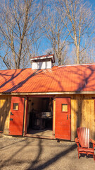 Sugar shack in a Quebec maple grove on a beautiful spring day - 776702219