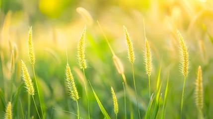 Foto op Canvas Grass field under a gentle breeze evoking serenity and calm AI Image © dekreatif