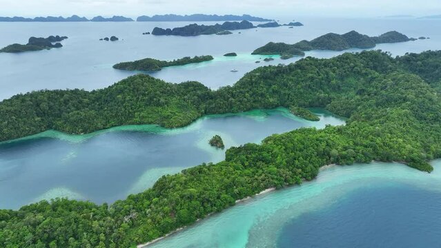 Rock islands, surrounded by coral reef, rise from Raja Ampat's tropical seascape. This scenic part of Indonesia is known as the heart of the Coral Triangle due to the marine biodiversity found there.