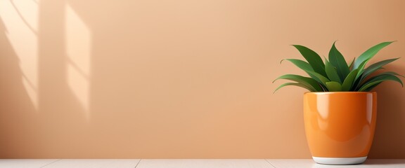Minimalist Orange Potted Plant Against Peach Wall -- Banner with Copy Space Background Wallpaper