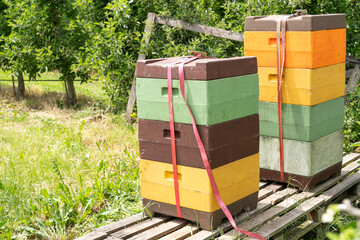 Beehive styrofoam boxes in the orchard 