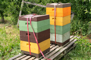 Beehive styrofoam boxes in the orchard 