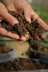 Manos con tierra sana para cultivo tirando al piso
