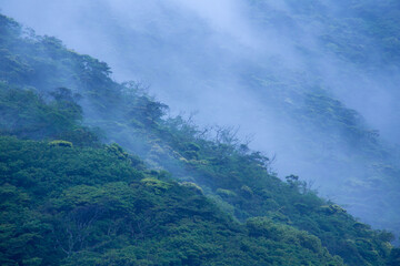 奄美地方梅雨入り間近