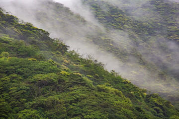 奄美地方梅雨入り間近