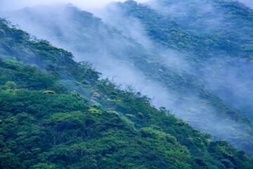 奄美地方梅雨入り間近