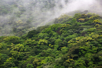 奄美地方梅雨入り間近