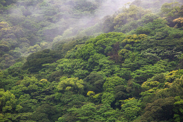 奄美地方梅雨入り間近