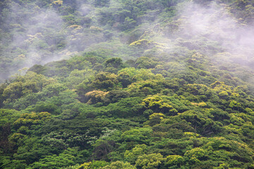 奄美地方梅雨入り間近