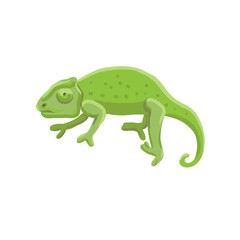 vector drawing green chameleon isolated at white background, hand drawn illustration
