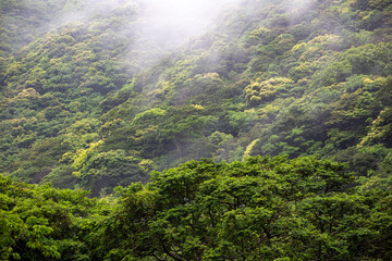 奄美地方梅雨入り間近