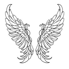 Vector outline of majestic wings icon.