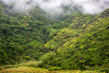 奄美地方梅雨入り間近