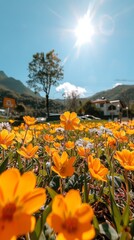 Fototapeta premium Golden Wildflowers Basking in Sunlight with a Majestic Mountain Landscape in the Background, a Scene of Serene Natural Beauty