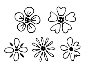 Simple black outline vector drawing. Set of various small flowers. Floral elements for decoration. Nature and vegetation. Sketch in ink.