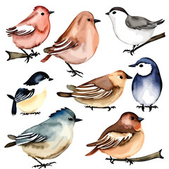Colorful watercolor birds in nest drawing art design vector illustration. Vibrant Vantage: Watercolor Birds Nesting in Color - obrazy, fototapety, plakaty