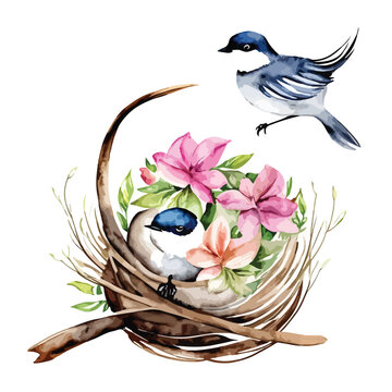 recommend clip art: Colorful watercolor birds in nest drawing art design vector illustration. Spectrum Serenity: Vibrant Watercolor Birds in Nest