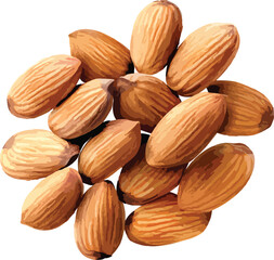 vector almond nuts