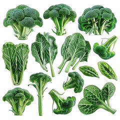 Fresh and Vibrant Chinese Broccoli Gai Lan Illustration on White Background - High-Quality 3D Clipart Perfect for Print Projects