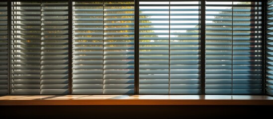 The window blinds are raised, allowing sunlight to filter into the room through the open slats on the window sill