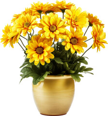 flower pot,yellow beautiful flower pot isolated on white or transparent background,transparency