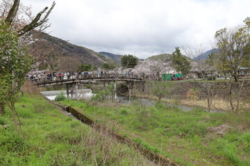 The scene of a bridge : Nakanoshima-bashi Bridge in Nakanoshima-koen Park in Kyoto City 
