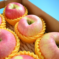 beautiful pink apple in the box on blue background