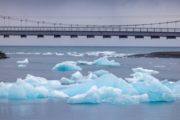 Majestic icebergs float in the ocean with a bridge in the background, creating a stunning natural...