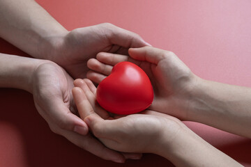 red heart in adult hands , health care, organ donation, family life insurance, world heart day, brain stroke. love concept.