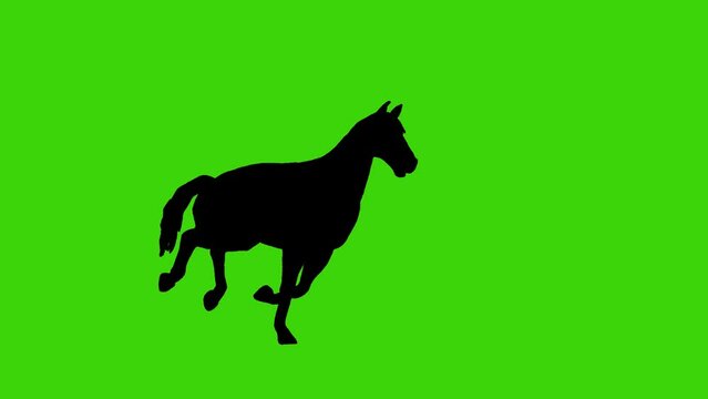 silhouette animation video of running horse with green screen background