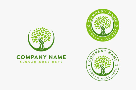 Minimalist elegant oak tree logo / old tree logo / tree of life logo icon vector template on white background