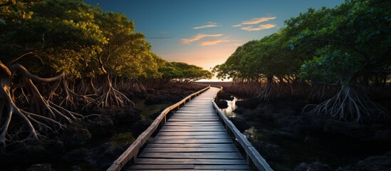 A long wooden walkway stretches through a murky swamp surrounded by tall trees and lush vegetation