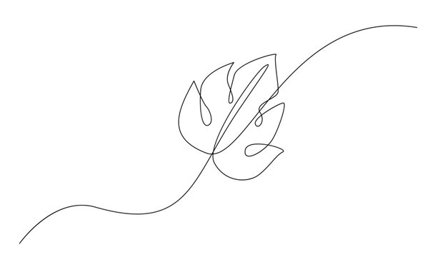 leaf of plant one line drawing. Vector illustration in continuous line style.