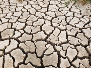 A scene of cracked earth in pale brown, with a green sprout, symbolizes nature's resilience.