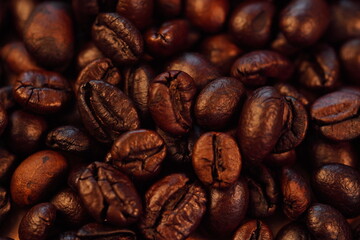 Roasted coffee beans (needle roast), Cafe and coffee shop concept