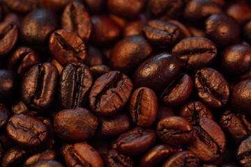 Roasted coffee beans (needle roast), Cafe and coffee shop concept