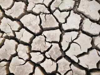 A depiction of cracked earth in pale brown,  symbolizes nature's strength.