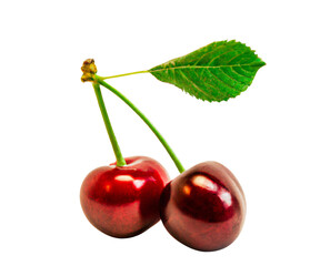 Two Cherries with a Leaf