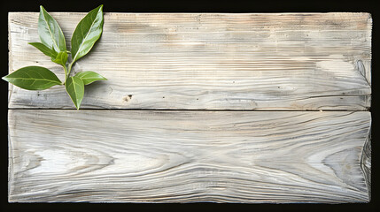 natural / leafy frame, wood background. space for copy. background, natural, leaves, botanical, border, nature