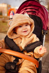A small child dressed in a bear costume playfully rides in a stroller, creating a cute and whimsical scene. © Anton Dios