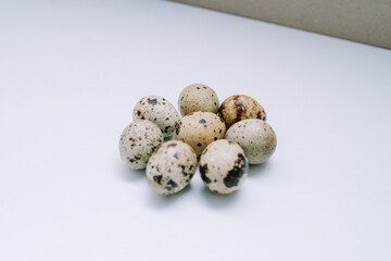 Quail eggs that are the size of an adult human's thumb are lined up on a white mat for photographic and detailed purposes.