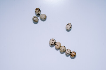 Quail eggs that are the size of an adult human's thumb are lined up on a white mat for photographic and detailed purposes.