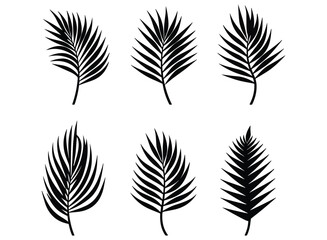 Palm banana leaf silhouette vector. © Rokeyadesigner