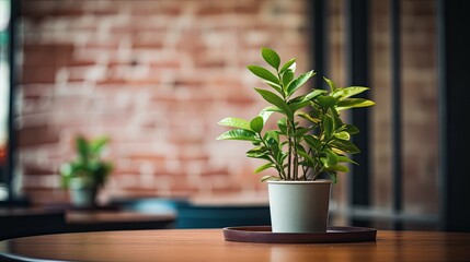 cafe blurred interior plant