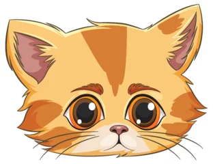 Fotobehang Vector graphic of a cute, orange tabby kitten face. © GraphicsRF